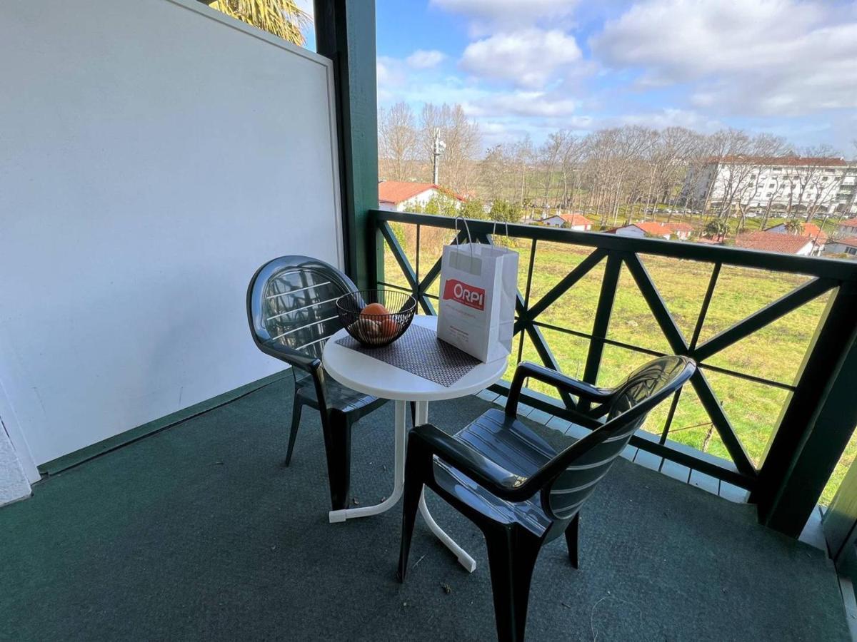 Studio Lilas A Cambo-Les-Bains : Terrasse, Parking, Proche Thermes, Internet, Animaux Acceptes - Fr-1-495-96 Bagian luar foto